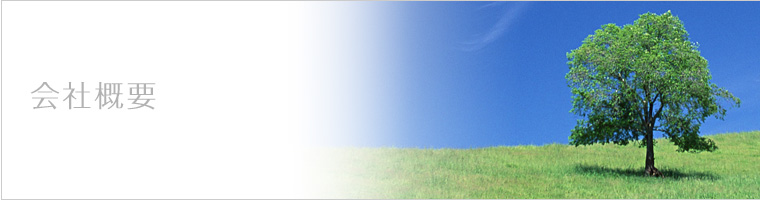 会社概要